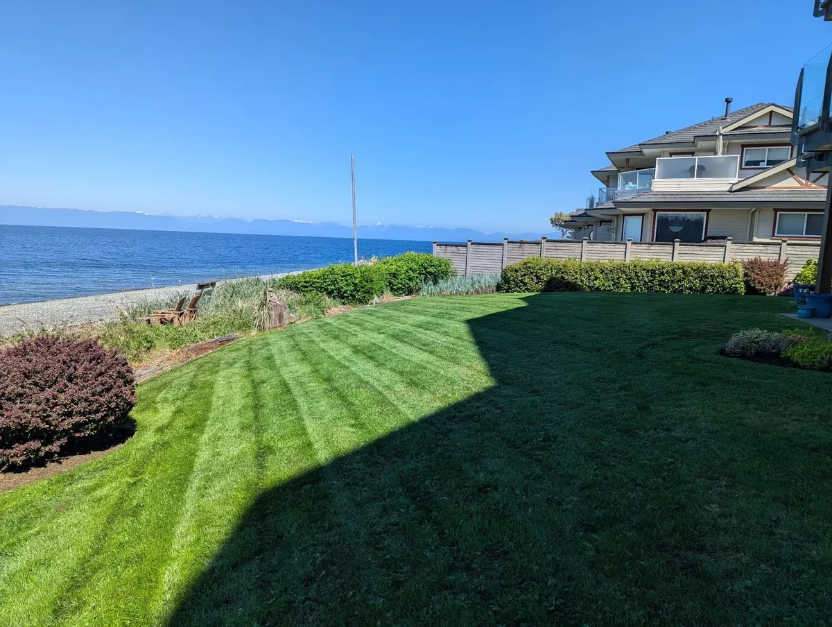 A striped waterfront lawn beside the ocean with a house and trimmed shrubs